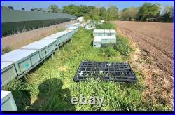 Honey Bee Nucleus Hive Colony Box Overwintered