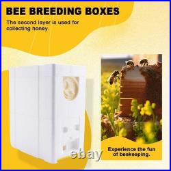 Honey Beehive Frames Beekeeping Box Bee Hive Pollination Box Bee