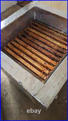 Honey Warming Cabinet Bee Keeping and Bee Hive, for extraction and warming