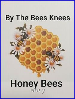 Honey bee 5 frame nuc bee box 2022 bee hive beekeeping