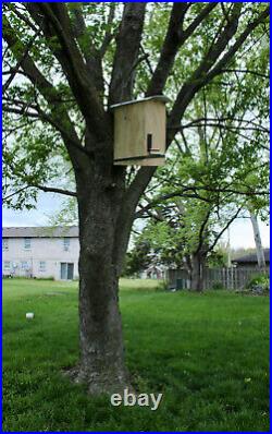 Honeybee Swarm Trap- Bee Hive- The Bee's Kneeds