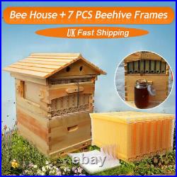 Hot 7PCS Automatic Harvest Honey Beehive Frames + 1 Wooden Beekeeping House Box