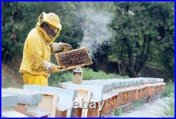 Houses for bees from polystyrene foam