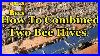 How_To_Combining_Two_Bee_Hives_Together_01_eh