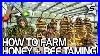 How_To_Farm_Honey_Taming_The_Giant_Queen_Bee_In_Ark_Survival_Evolved_Ark_New_Update_257_Gameplay_01_iy