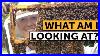How_To_Read_A_Frame_Inside_A_Beehive_Beekeeping_Made_Simple_01_zkgr