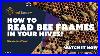 How_To_Read_A_Frame_When_Inspecting_Beehive_Beekeepers_View_01_ie