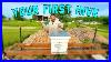 How_To_Set_Up_Your_First_Beehive_01_jau