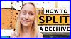 How_To_Split_A_Beehive_Step_By_Step_Beekeeping_101_01_ggbr