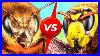 Japanese_Bees_Do_One_Insane_Thing_To_Defeat_Giant_Hornets_01_hmlg