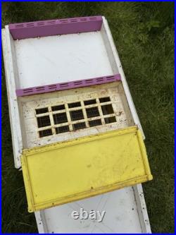 Langstroth Assembled Plastic Beehive