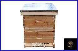 Langstroth Bee Hive Bee Keeping 1 Brood 1 Super with Frames, Wax and Starter Kit