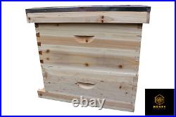 Langstroth Beehive 1 Super 1 Brood Flat Roof with Frames and wax