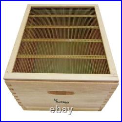 Langstroth Beehive Bee Keeping New Zealand Pine 2 Super 1 Brood Flat Roof Bee