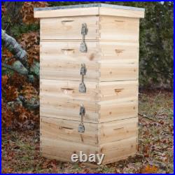 Langstroth Beehive Box 4 Tiers Wooden Hive Frames Beekeeping Honey Brood Box