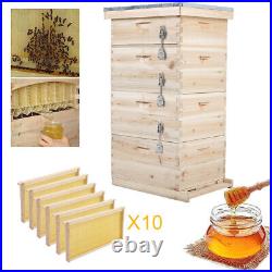 Langstroth Beehive Box Beekeeping Honey&Bee Hive Frame Beekeeper Brood Tool