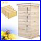 Langstroth_Beehive_Box_Beekeeping_Honey_Breeding_Bee_Brood_Housing_With_Hive_Frame_01_lgvz
