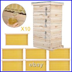 Langstroth Beehive Box Beekeeping Honey Housing With Super & Brood Bee Hive Frames