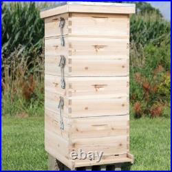 Langstroth Beehive Box Beekeeping Honey with 20pcs Super & Brood Bee Hive Frames