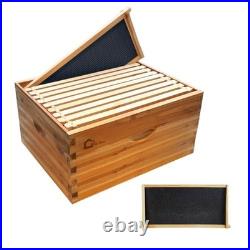 Langstroth Beehive Starter Kit 10-Frame Pre 1 Deep Box without Window Brown
