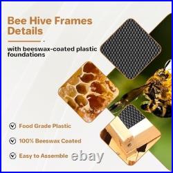 Langstroth Beehive Starter Kit 10-Frame Pre 1 Deep Box without Window Brown