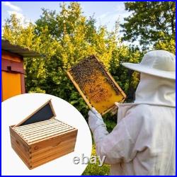Langstroth Beehive Starter Kit 10-Frame Pre 1 Deep Box without Window Brown