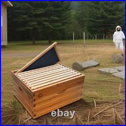 Langstroth Beehive Starter Kit 10-Frame Pre 1 Deep Box without Window Brown