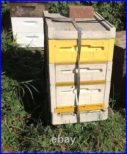 Langstroth Beehive, complete with majority Carniolan some Buckfast Honey Bees