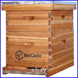Langstroth Beehive with Beeswaxed Foundations