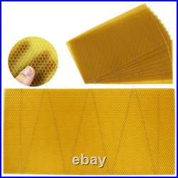Langstroth Brood Wired Wax Foundation Sheets Beekeeping Beehive Apiary