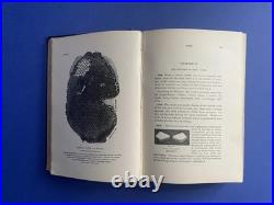 Langstroth on the Hive and the Honey-Bee A Bee Keeper's Manual 1890