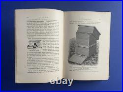 Langstroth on the Hive and the Honey-Bee A Bee Keeper's Manual 1890