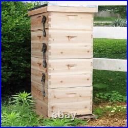 Large 4 Tiers Langstroth Beehive Box Beekeeper Beekeeping Honey Bee Hive Frames