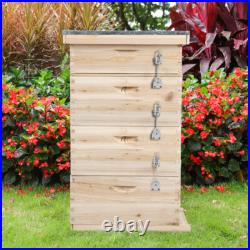 Large 4 Tiers Langstroth Beehive Box Beekeeper Beekeeping Honey Bee Hive Frames