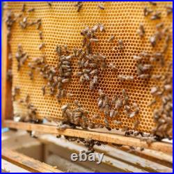 Large 95cm Langstroth Beehive Box Beekeeping Honey Wooden BeeHive Beekeeper Tool Large 95cm Langstroth Beehive Box Beekeeping Honey Wooden BeeHive Beekeeper Tool