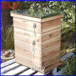 Large Wooden Langstroth Beehive Box Hive Frames Beekeeping Honey Brood Box
