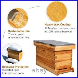 MayBee 5-Frame Nuc Beehive for Bees Complete Bee Hive Box Kit with Metal Roof
