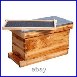 MayBee 5-Frame Nuc Beehive for Bees Complete Bee Hive Box Kit with Metal Roof