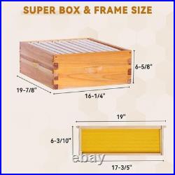Medium Super Beehive Box 10 Frame Langstroth Honey Bee Hive Kit Beeswax Coated