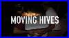 Moving_Hives_01_gczt