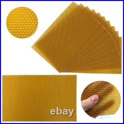 National Beehive Brood Box Wired Wax Foundation Sheets Beekeeping Hive 50 or 100