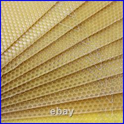 National Beehive Brood Box Wired Wax Foundation Sheets Beekeeping Hive 50 or 100