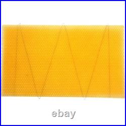 National Beehive Brood Box Wired Wax Foundation Sheets Hive Beekeeping 50 or 100
