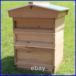 National Beehive Cedar Gabled Roof starter kit with 2 Super 1 Brood with Frames