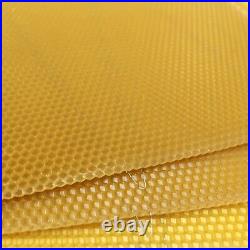 National Beehive Deep Brood Wired Wax Foundation Sheets Hive Beekeeping