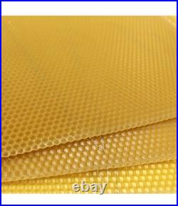 National Beehive Deep Brood Wired Wax Foundation Sheets Hive Beekeeping Frames