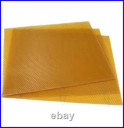 National Beehive Deep Brood Wired Wax Foundation Sheets Hive Beekeeping Frames