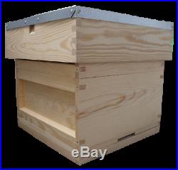 National Beehive Pine With Free Rapid Feeder