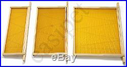 National Beehive Wired Wax Foundation Sheets and Frames Beekeeping Easibee