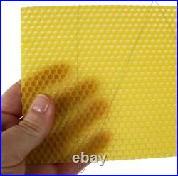 National Beehive Wired Wax Foundation Sheets and Frames Beekeeping Hive Kit